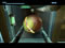 Metroid Prime